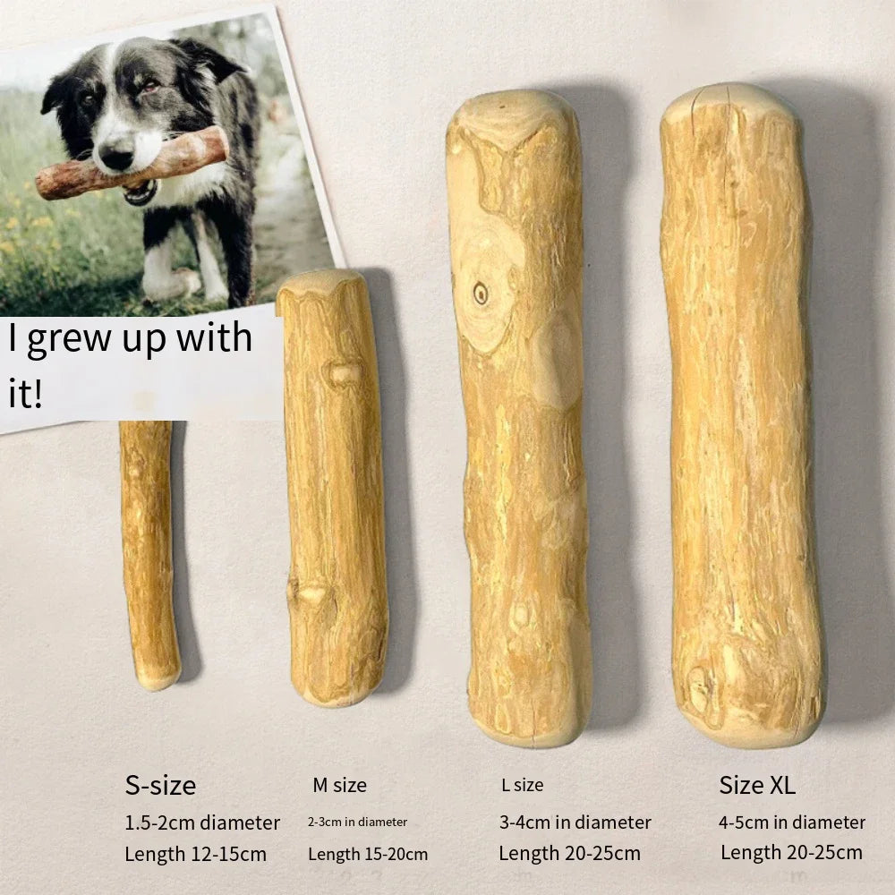 Coffee Wood Dog Chew Toys Size Large, 100% Natural Coffeewood Toys for Dogs, Dental Health & Reduces Boredom, Dog Wood Toys Supports Mental Stimulation & Training