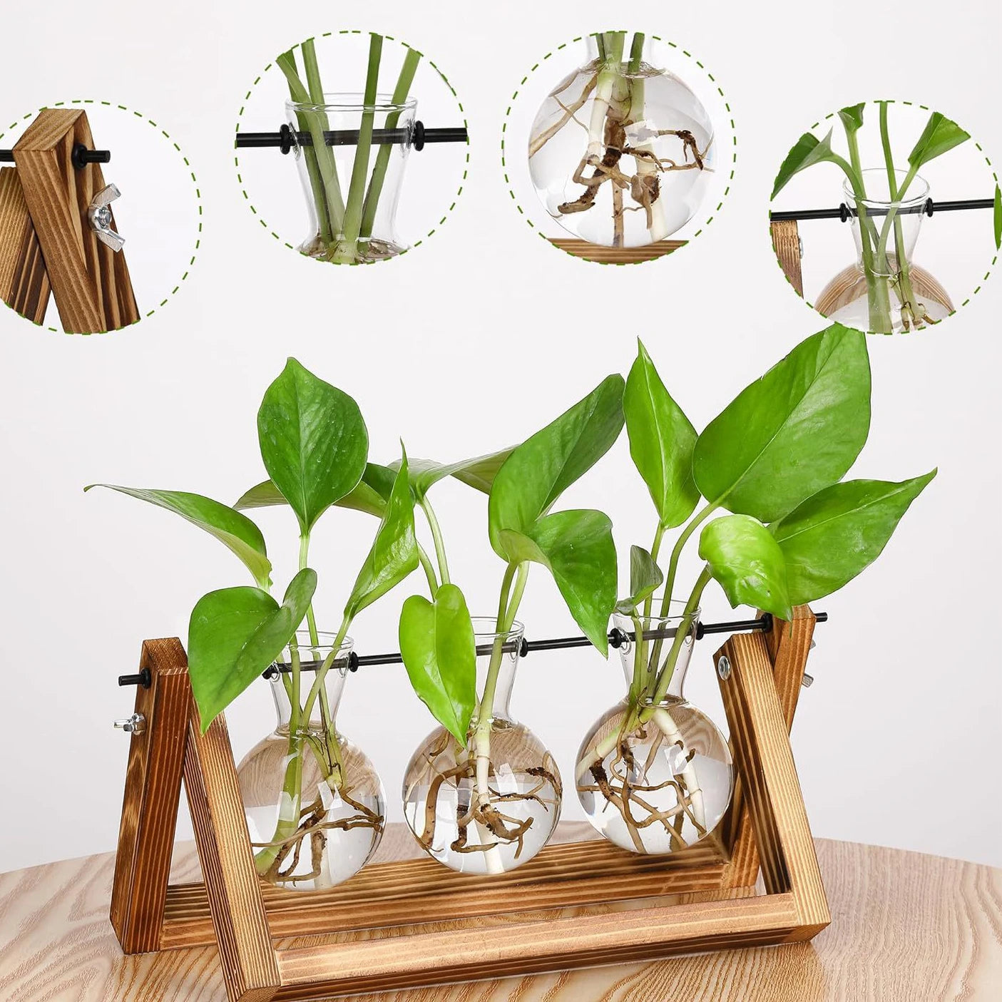 Wooden Base Glass Vase