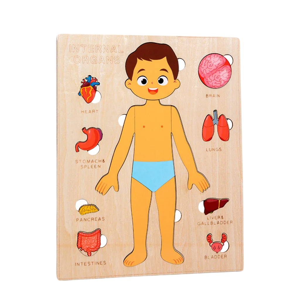 Wooden Body Puzzles for Kids, Toddler Montessori 14 Pieces Boy Anatomy Puzzle, Human Body Learning Toy with Internal Organs Early STEM Educational Toy for Boys and Girls Ages 3 4 5 6 Years Old