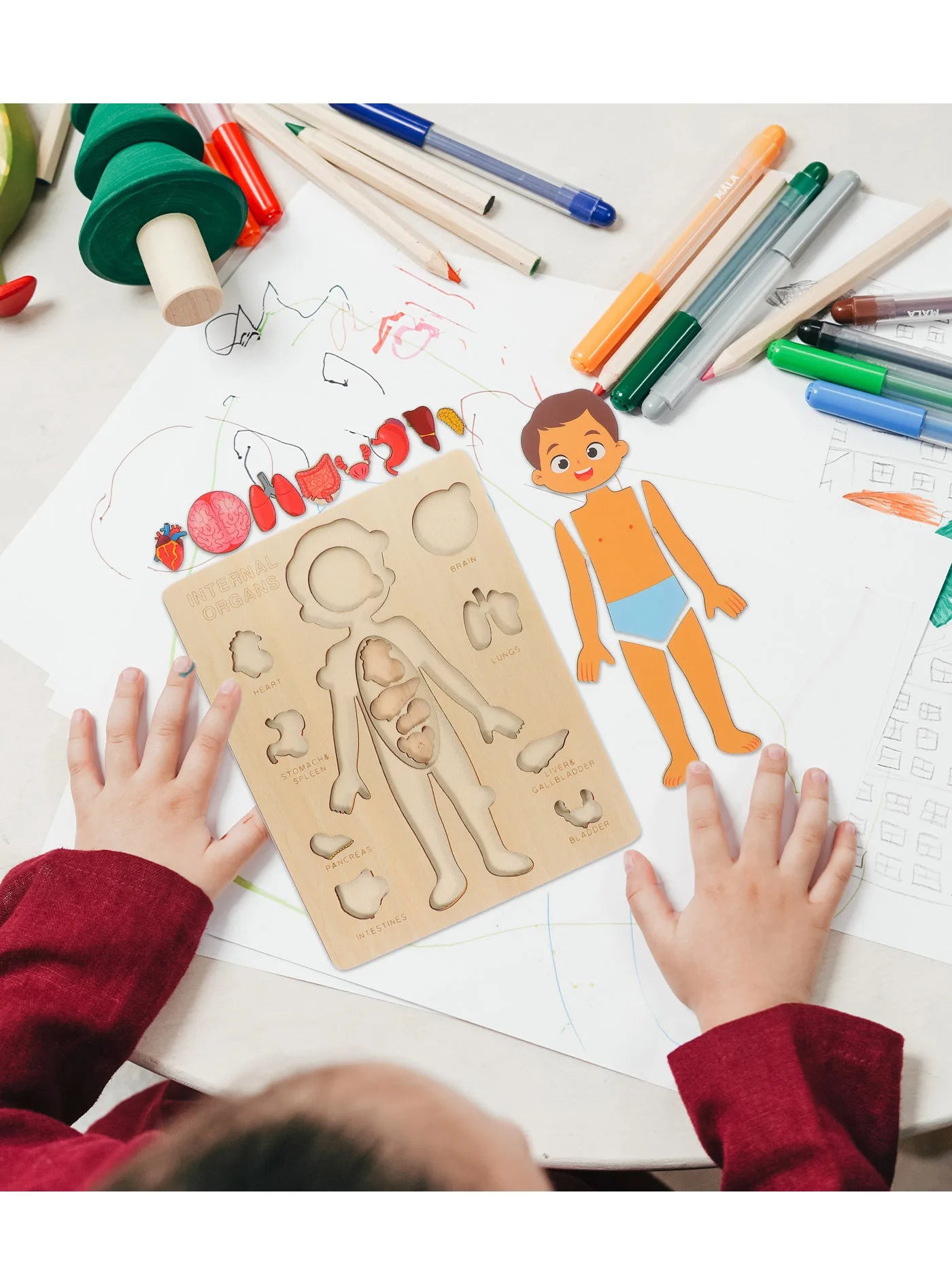 Wooden Body Puzzles for Kids, Toddler Montessori 14 Pieces Boy Anatomy Puzzle, Human Body Learning Toy with Internal Organs Early STEM Educational Toy for Boys and Girls Ages 3 4 5 6 Years Old