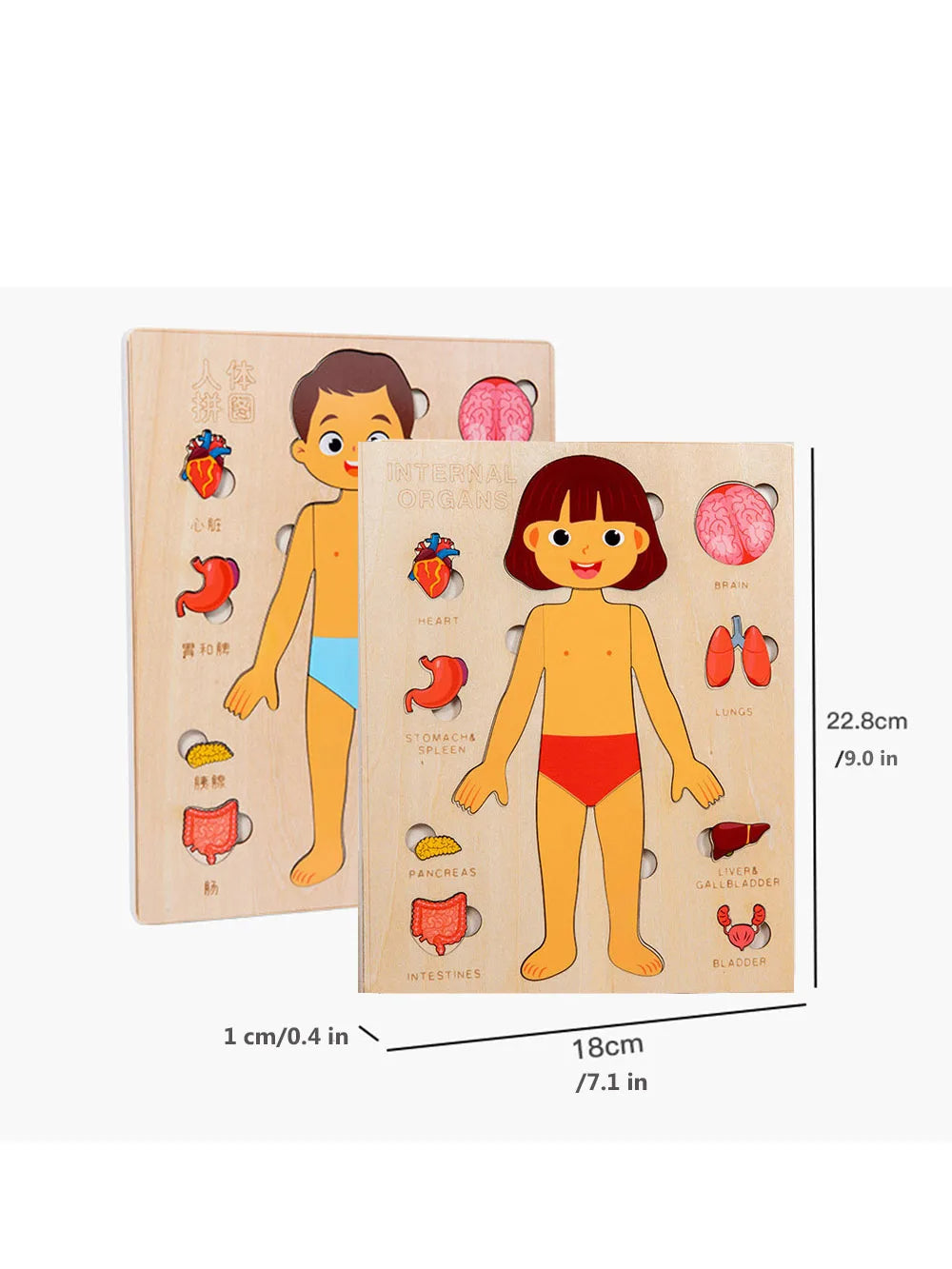 Wooden Body Puzzles for Kids, Toddler Montessori 14 Pieces Boy Anatomy Puzzle, Human Body Learning Toy with Internal Organs Early STEM Educational Toy for Boys and Girls Ages 3 4 5 6 Years Old