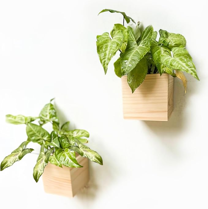 Wood Planter Box for Plants (6 Pack, 4x4 Inch) Small Square Wooden Wall Planters for Indoor Plant, Hanging Window Flower Boxes Herb Planter Table Centerpiece Modern Home Garden Office Decor