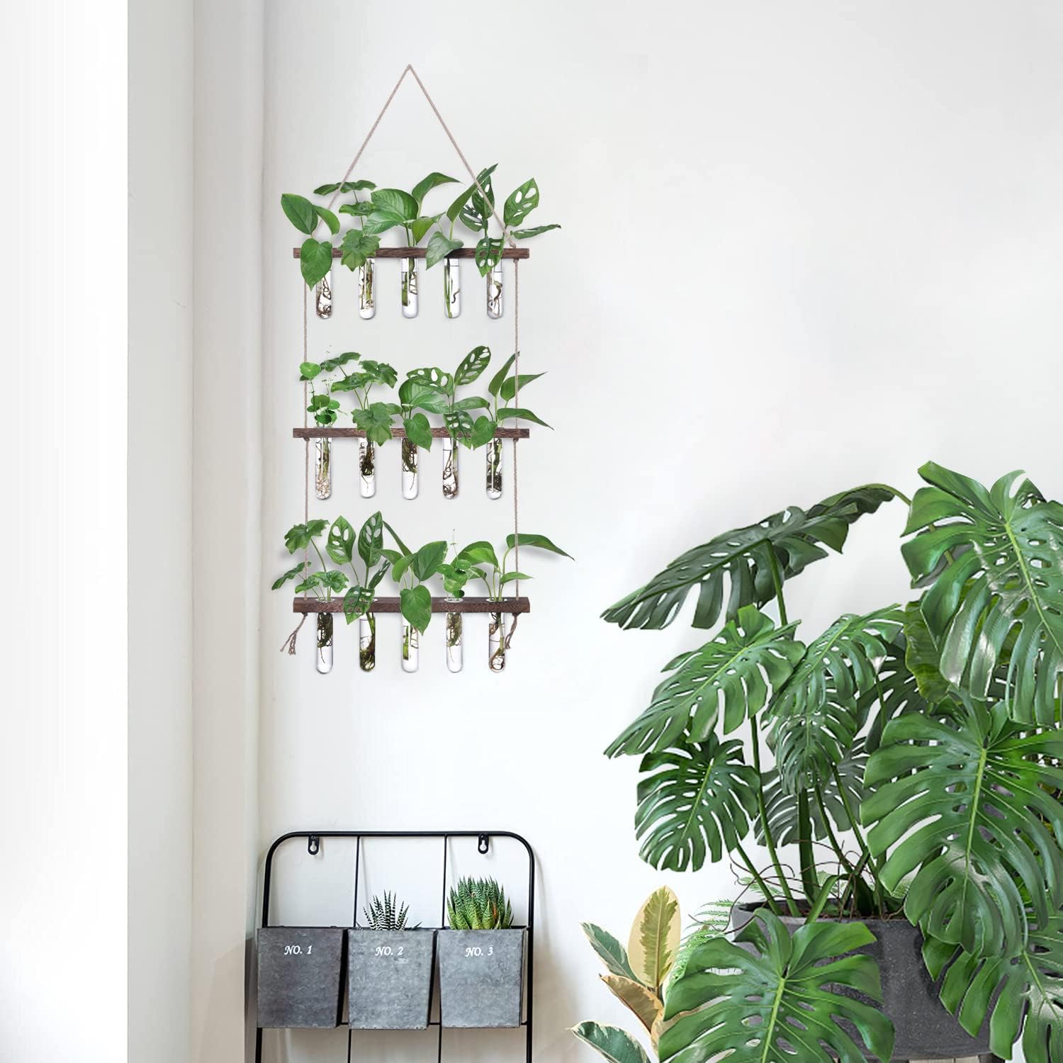 Wall Hanging Propagation Station with Wooden Stand 5 Glass Test Tubes 3 Tiered Planters Wall Terrarium for Home Office Plant Hanger Flower Vases Wall Decor Hydroponic Cuttings
