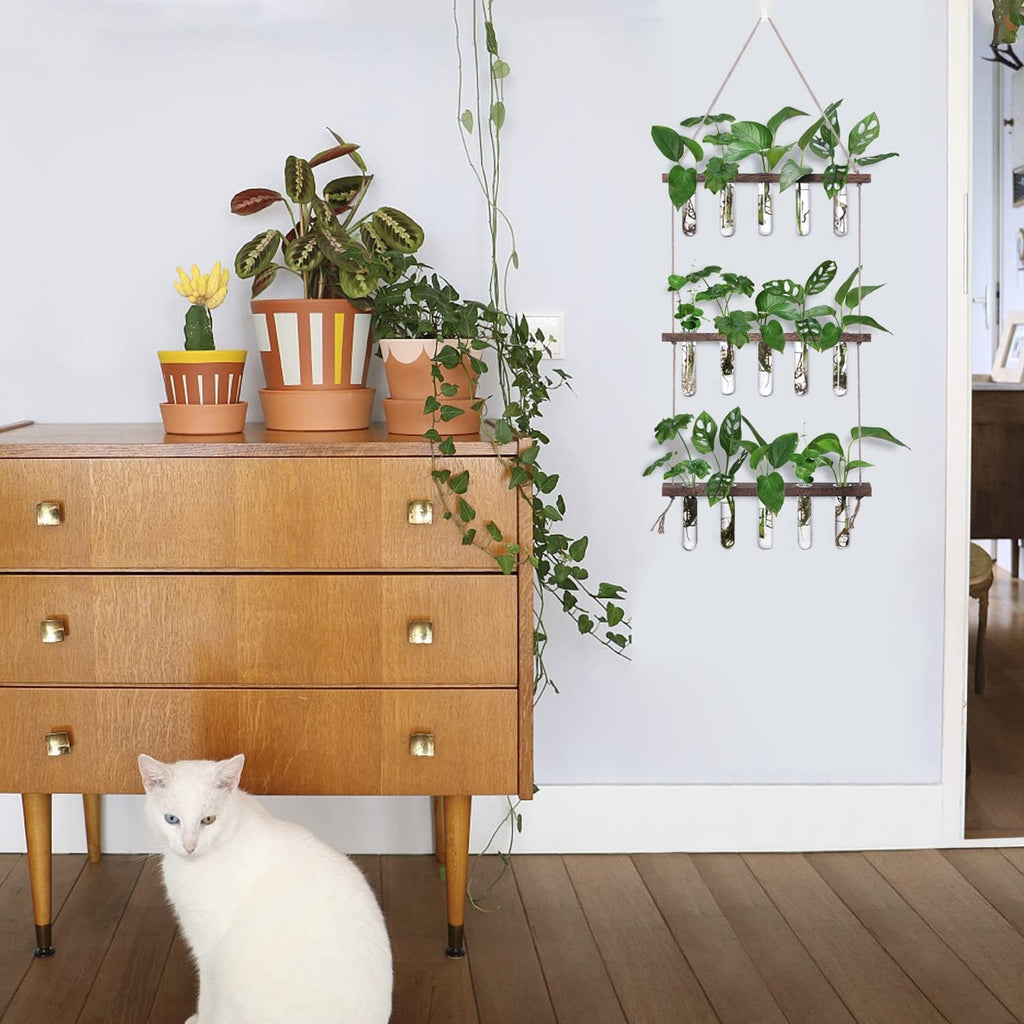 Wall Hanging Propagation Station with Wooden Stand 5 Glass Test Tubes 3 Tiered Planters Wall Terrarium for Home Office Plant Hanger Flower Vases Wall Decor Hydroponic Cuttings