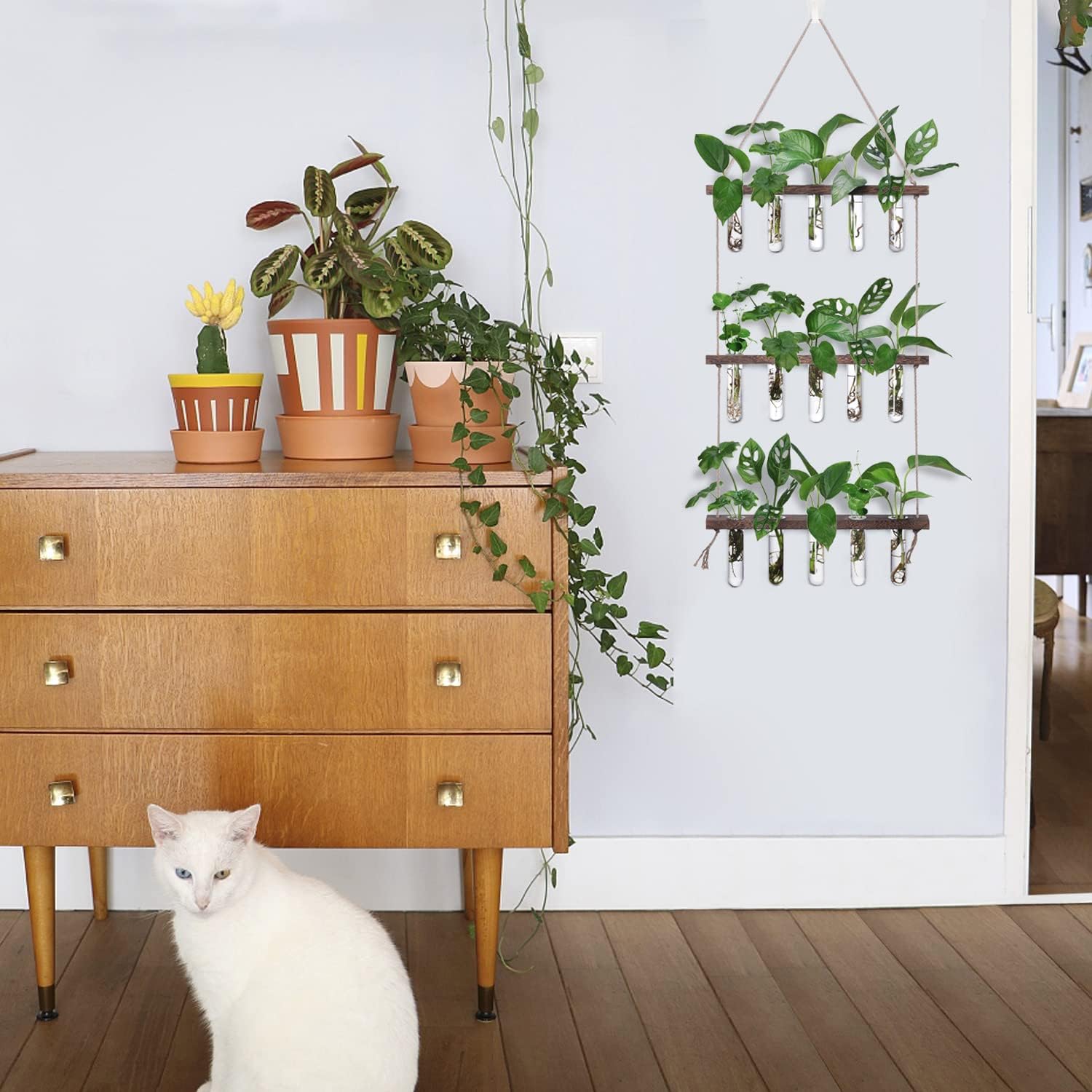 Wall Hanging Propagation Station with Wooden Stand 5 Glass Test Tubes 3 Tiered Planters Wall Terrarium for Home Office Plant Hanger Flower Vases Wall Decor Hydroponic Cuttings