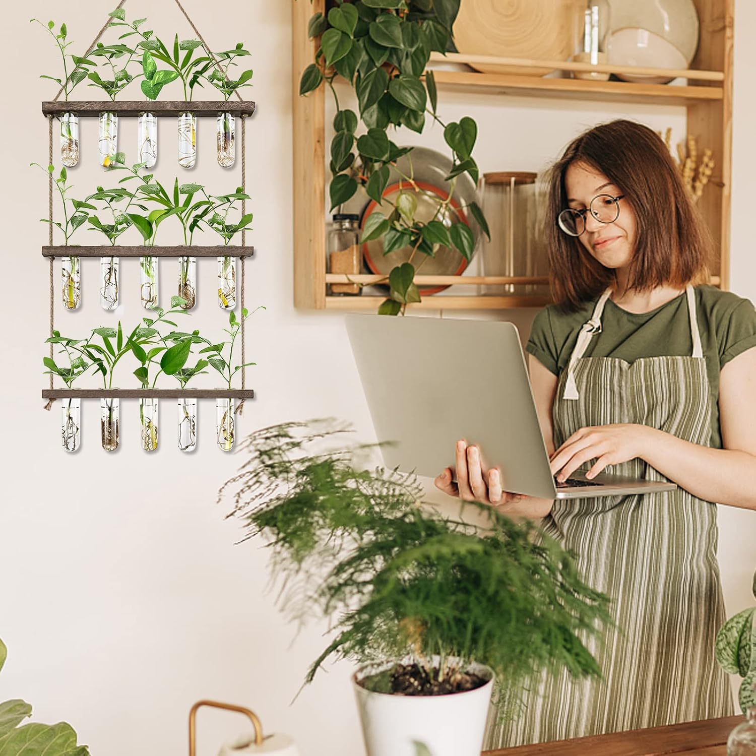 test tube hanging planter Wall Hanging Propagation Station with Wooden Stand 5 Glass Test Tubes – NexaWood