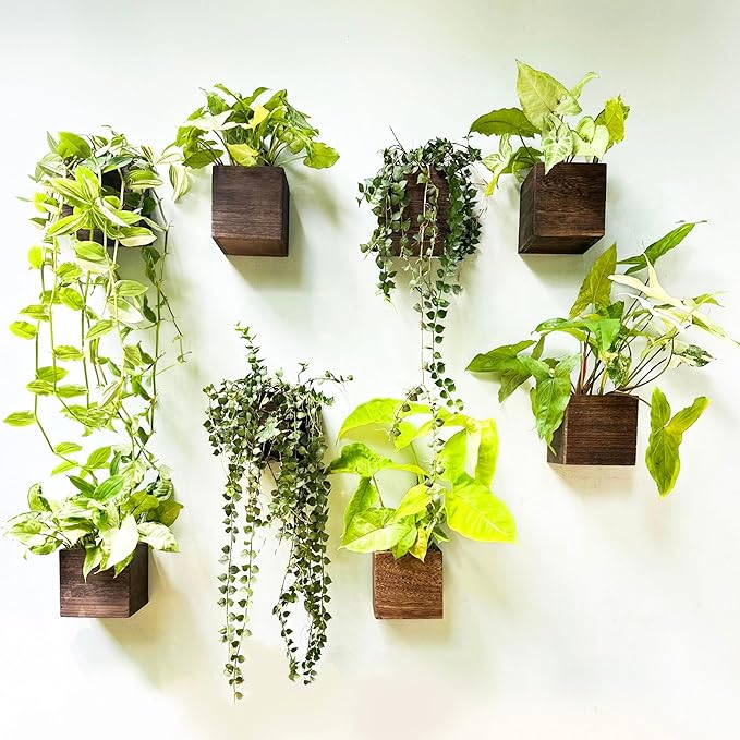 Wood Planter Box for Plants (6 Pack, 4x4 Inch) Small Square Wooden Wall Planters for Indoor Plant, Hanging Window Flower Boxes Herb Planter Table Centerpiece Modern Home Garden Office Decor