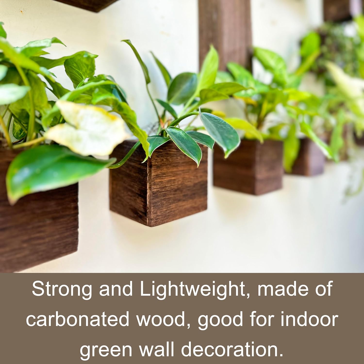 Wood Planter Box for Plants (6 Pack, 4x4 Inch) Small Square Wooden Wall Planters for Indoor Plant, Hanging Window Flower Boxes Herb Planter Table Centerpiece Modern Home Garden Office Decor