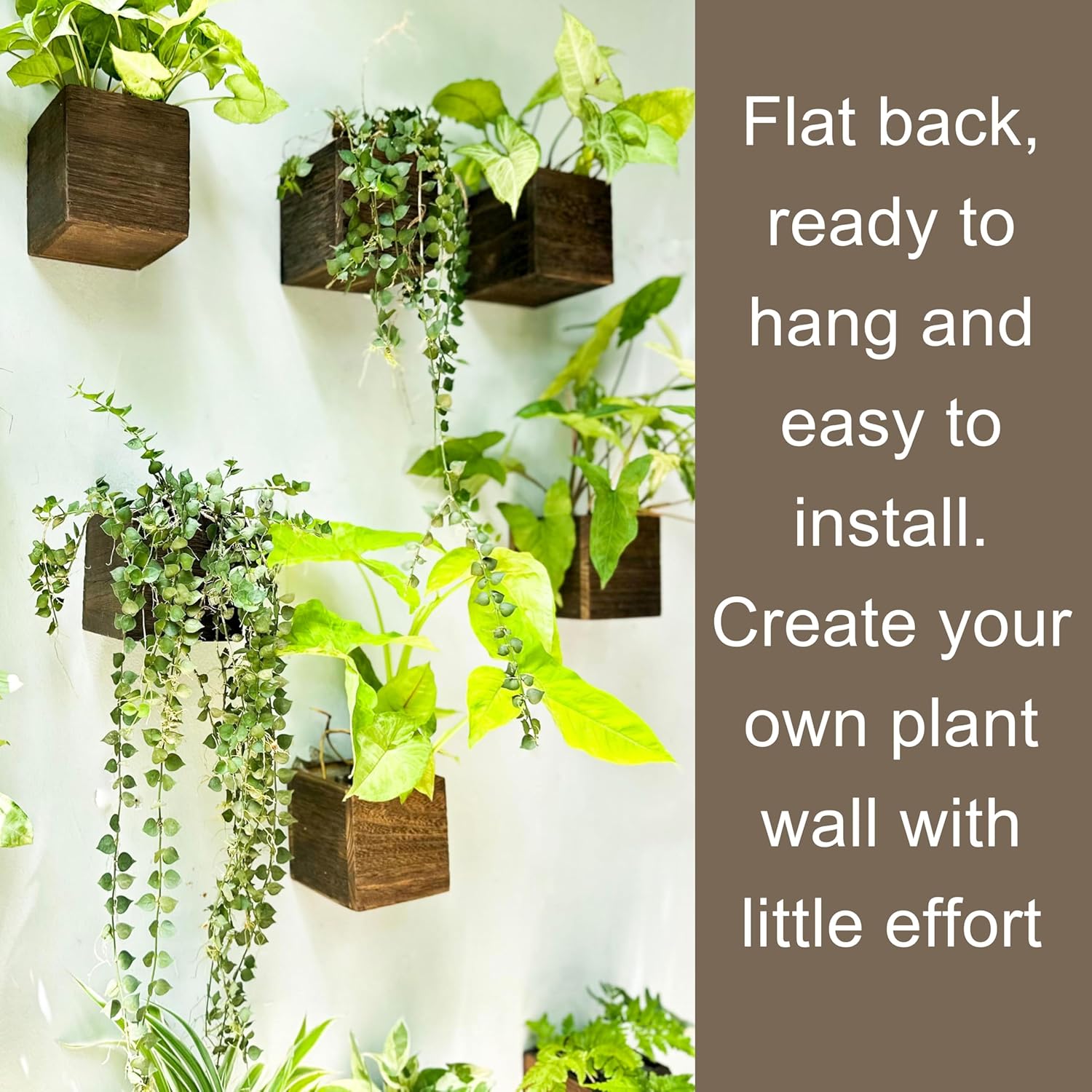 Wood Planter Box for Plants (6 Pack, 4x4 Inch) Small Square Wooden Wall Planters for Indoor Plant, Hanging Window Flower Boxes Herb Planter Table Centerpiece Modern Home Garden Office Decor