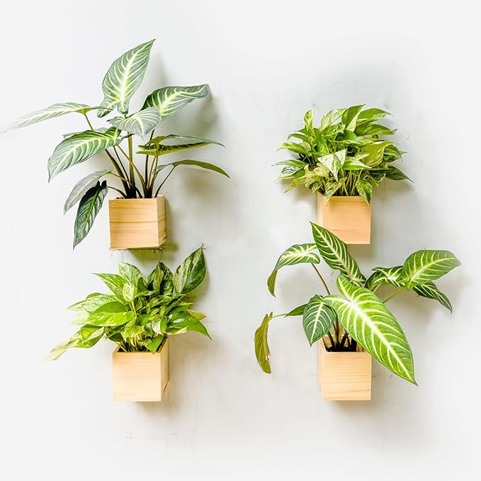 Wood Planter Box for Plants (6 Pack, 4x4 Inch) Small Square Wooden Wall Planters for Indoor Plant, Hanging Window Flower Boxes Herb Planter Table Centerpiece Modern Home Garden Office Decor