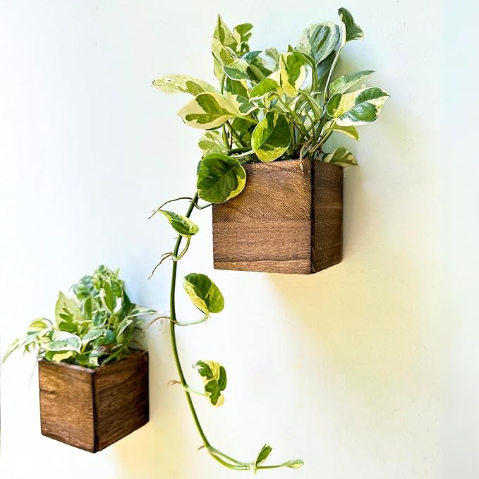indoor wall planter boxes Wood Planter Box for Plants (6 Pack, 4x4 Inch) Small Square Wooden Wal – NexaWood
