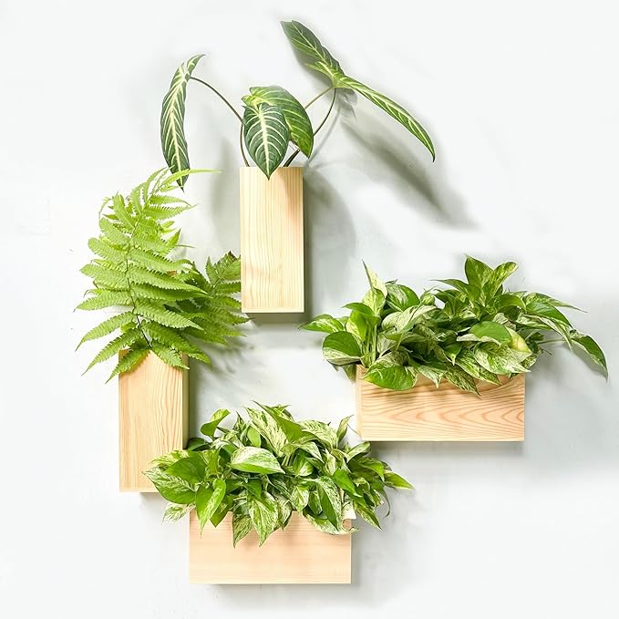 Wood Planter Box for Plants (6 Pack, 4x4 Inch) Small Square Wooden Wall Planters for Indoor Plant, Hanging Window Flower Boxes Herb Planter Table Centerpiece Modern Home Garden Office Decor
