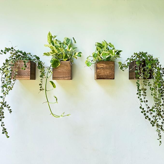 Wood Planter Box for Plants (6 Pack, 4x4 Inch) Small Square Wooden Wall Planters for Indoor Plant, Hanging Window Flower Boxes Herb Planter Table Centerpiece Modern Home Garden Office Decor