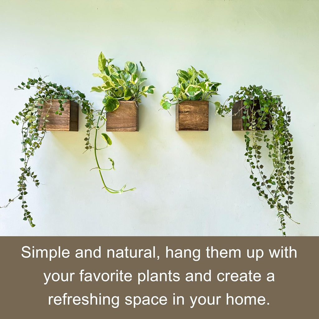 Wood Planter Box for Plants (6 Pack, 4x4 Inch) Small Square Wooden Wall Planters for Indoor Plant, Hanging Window Flower Boxes Herb Planter Table Centerpiece Modern Home Garden Office Decor