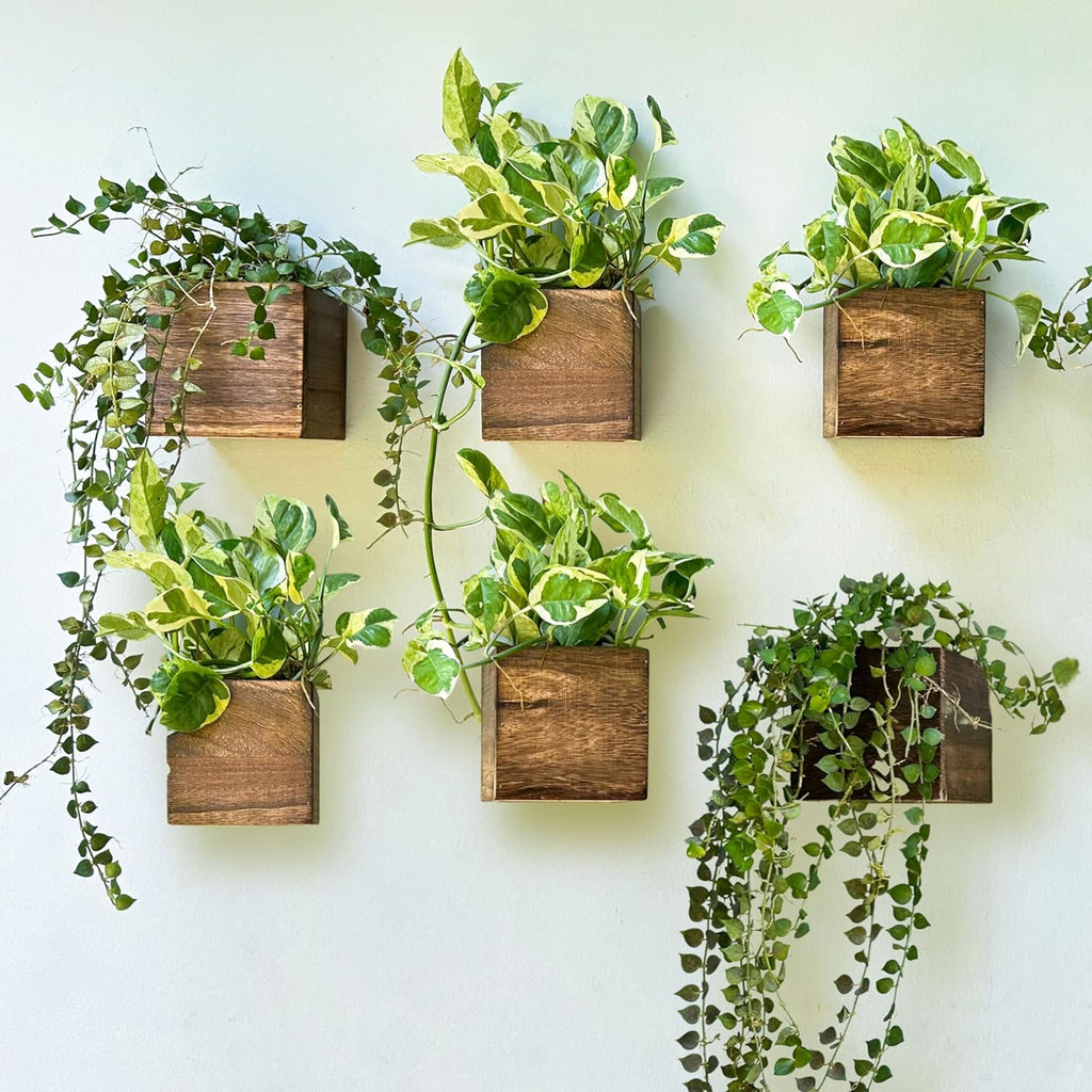 Wood Planter Box for Plants (6 Pack, 4x4 Inch) Small Square Wooden Wall Planters for Indoor Plant, Hanging Window Flower Boxes Herb Planter Table Centerpiece Modern Home Garden Office Decor