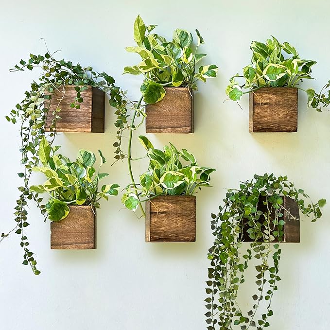 Wood Planter Box for Plants (6 Pack, 4x4 Inch) Small Square Wooden Wall Planters for Indoor Plant, Hanging Window Flower Boxes Herb Planter Table Centerpiece Modern Home Garden Office Decor