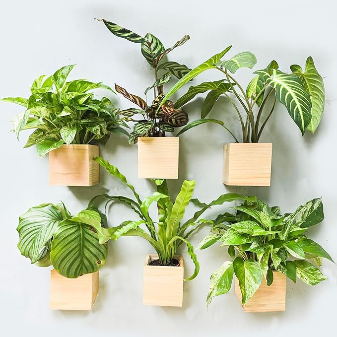 Wood Planter Box for Plants (6 Pack, 4x4 Inch) Small Square Wooden Wall Planters for Indoor Plant, Hanging Window Flower Boxes Herb Planter Table Centerpiece Modern Home Garden Office Decor