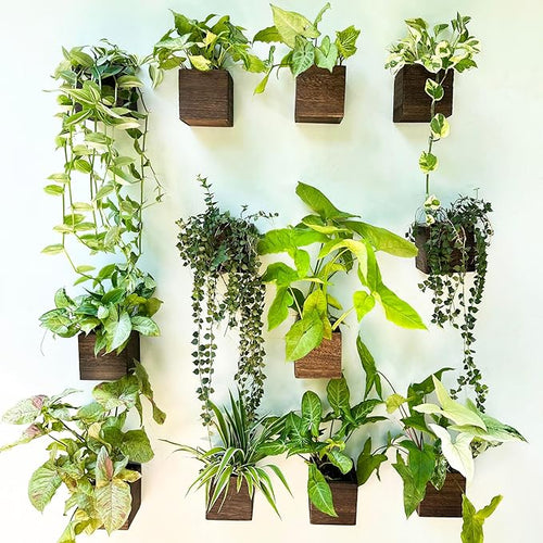 small wooden box planters Wood Planter Box for Plants (6 Pack, 4x4 Inch) Small Square Wooden Wal – NexaWood