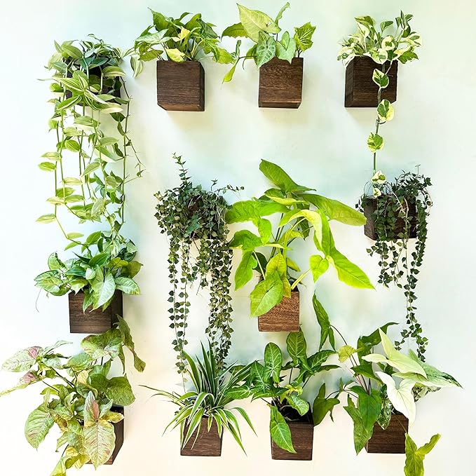 Wood Planter Box for Plants (6 Pack, 4x4 Inch) Small Square Wooden Wall Planters for Indoor Plant, Hanging Window Flower Boxes Herb Planter Table Centerpiece Modern Home Garden Office Decor