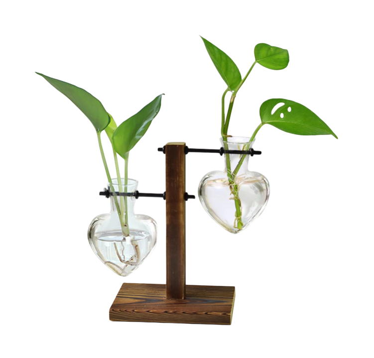 Plant Terrarium Wooden Stand, Hydroponic Planter Bulb Glass Metal Swivel Holder Retro Air Plants Water Plants for Home Office Decoration, Plant Lover Gifts - 2 Love Bulb Vase
