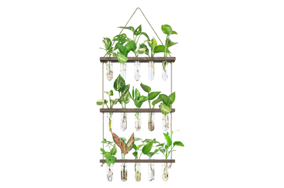 Wall Hanging Propagation Station with Wooden Stand 5 Glass Test Tubes 3 Tiered Planters Wall Terrarium for Home Office Plant Hanger Flower Vases Wall Decor Hydroponic Cuttings