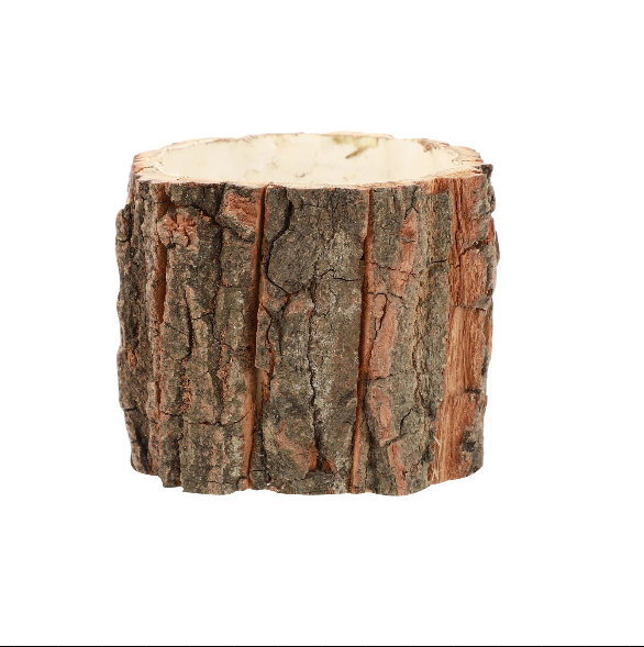 Natural Wood Flower Pot & Tree Stump Planter - Artificial Plants & Rustic Bark Decoration