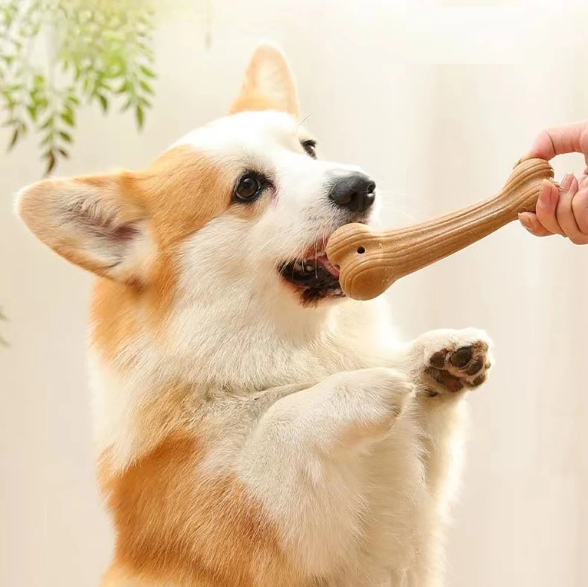 1pc Bite Resistant Pet Dog Chew Toys Molar Teeth Clean Stick Interesting Pine Wood Cute Bone Shape Durable Pet Accessories