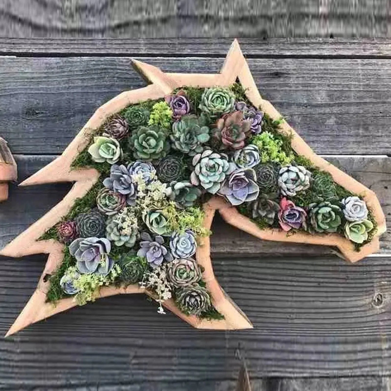 Animal Shape Succulents Wooden Flower Pots Turtle Bull Head Planter Clover Planter Horse Head Butterfly Pots Garden Accessories