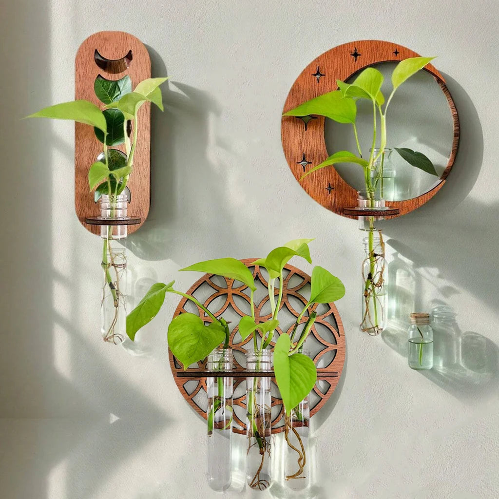 Moon Plant Propagation Station, Moon Phase Wall Hanging Terrarium Planter with Glass Tube, Wall Plant Holder for Propagate Hydroponics Air Plants, Wall Plants, Dried Flower Home Decor