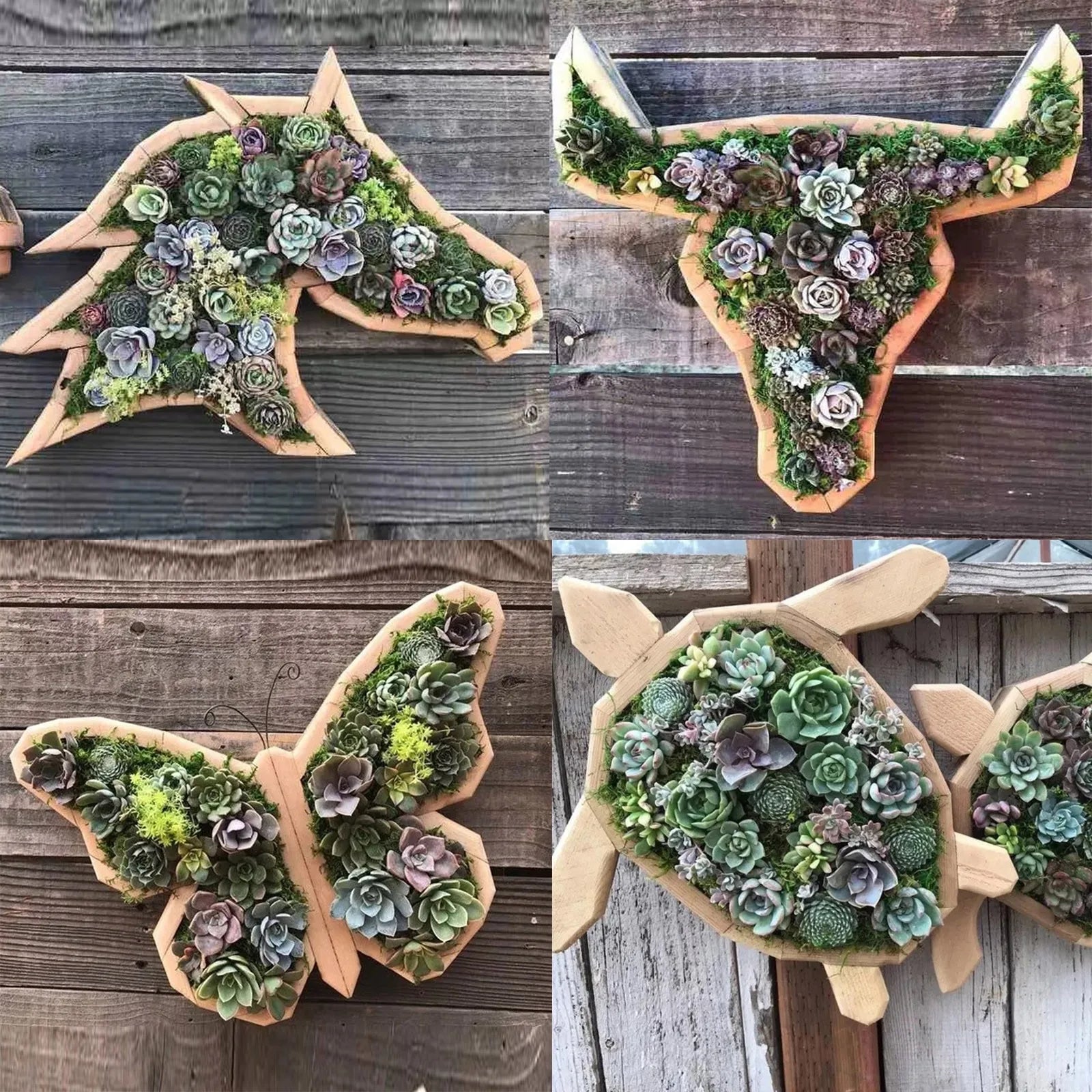 Animal Shape Succulents Wooden Flower Pots Turtle Bull Head Planter Clover Planter Horse Head Butterfly Pots Garden Accessories