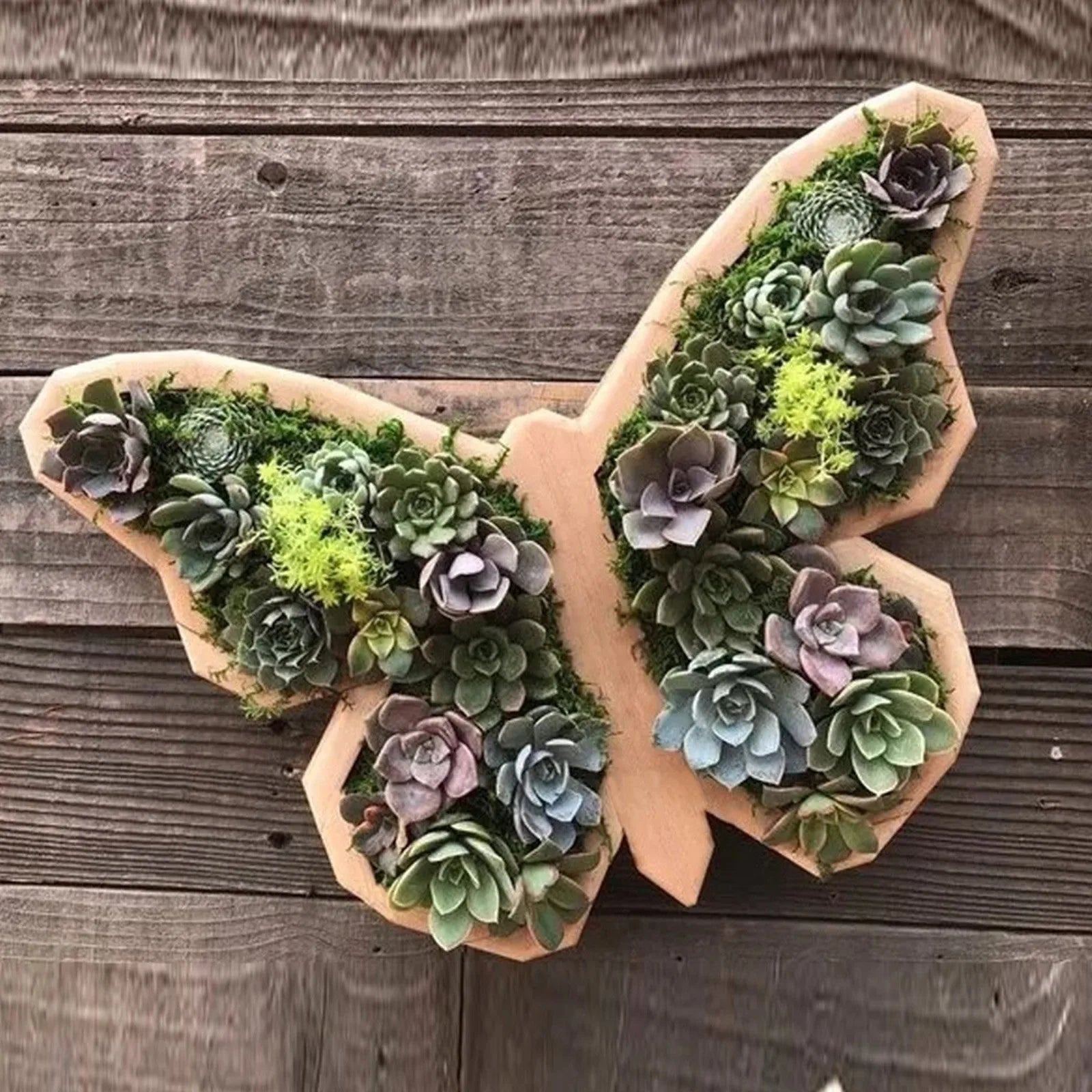 Animal Shape Succulents Wooden Flower Pots Turtle Bull Head Planter Clover Planter Horse Head Butterfly Pots Garden Accessories