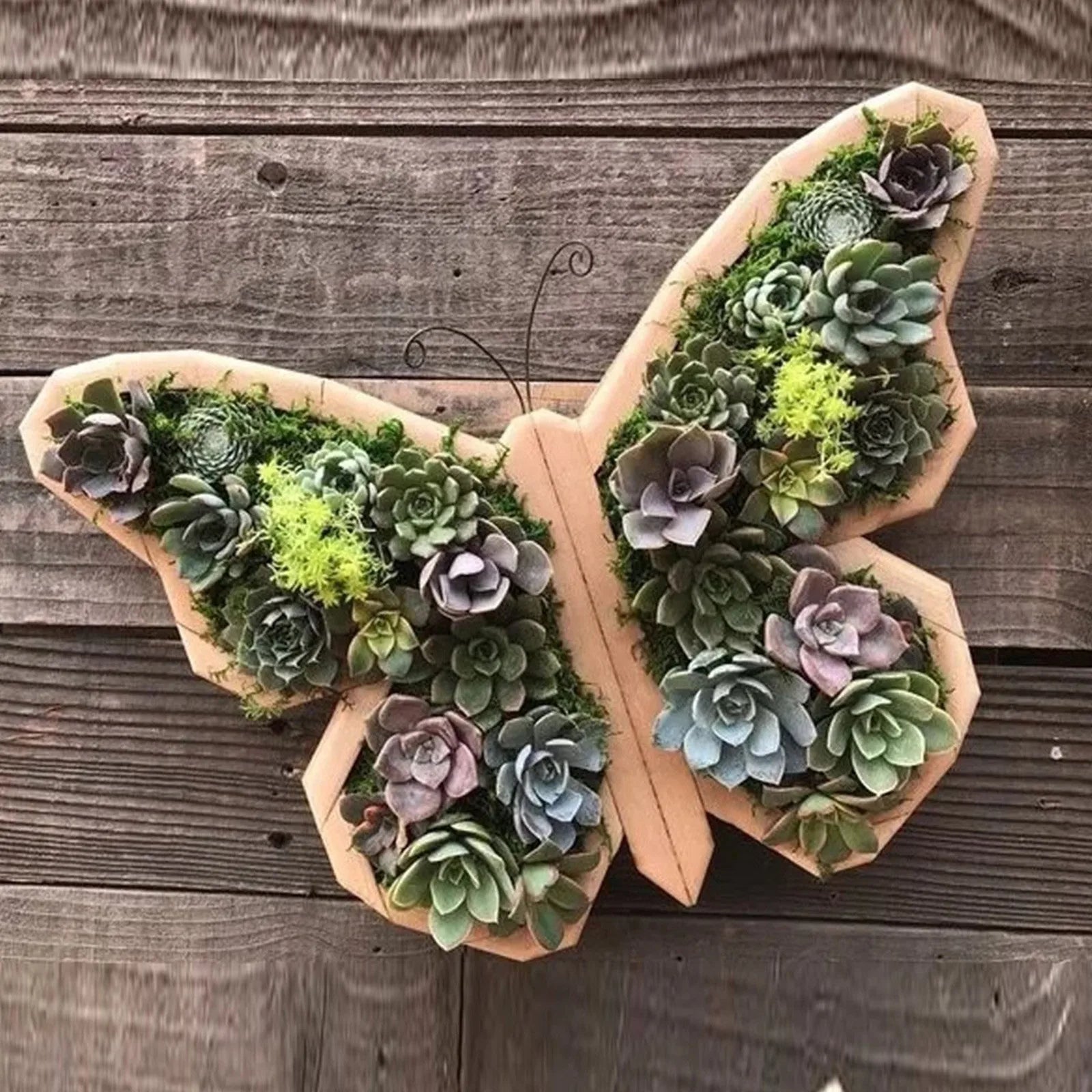 Animal Shape Succulents Wooden Flower Pots Turtle Bull Head Planter Clover Planter Horse Head Butterfly Pots Garden Accessories