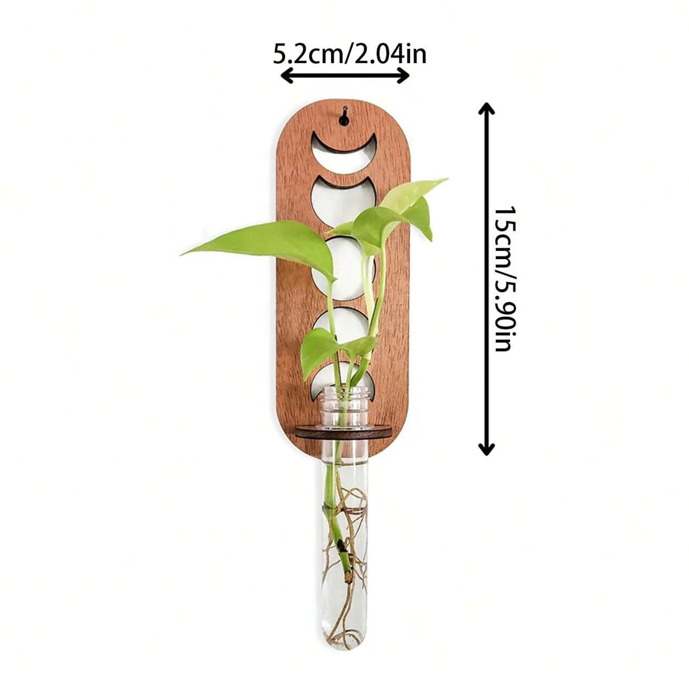 Moon Plant Propagation Station, Moon Phase Wall Hanging Terrarium Planter with Glass Tube, Wall Plant Holder for Propagate Hydroponics Air Plants, Wall Plants, Dried Flower Home Decor