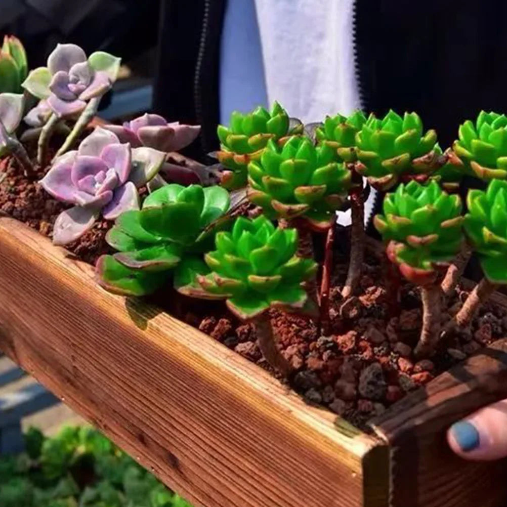 Antiseptic Wood Flower Box Wooden Planter Boxes Retro Window Outdoor Pot Cedar Succulent Decorative Pots