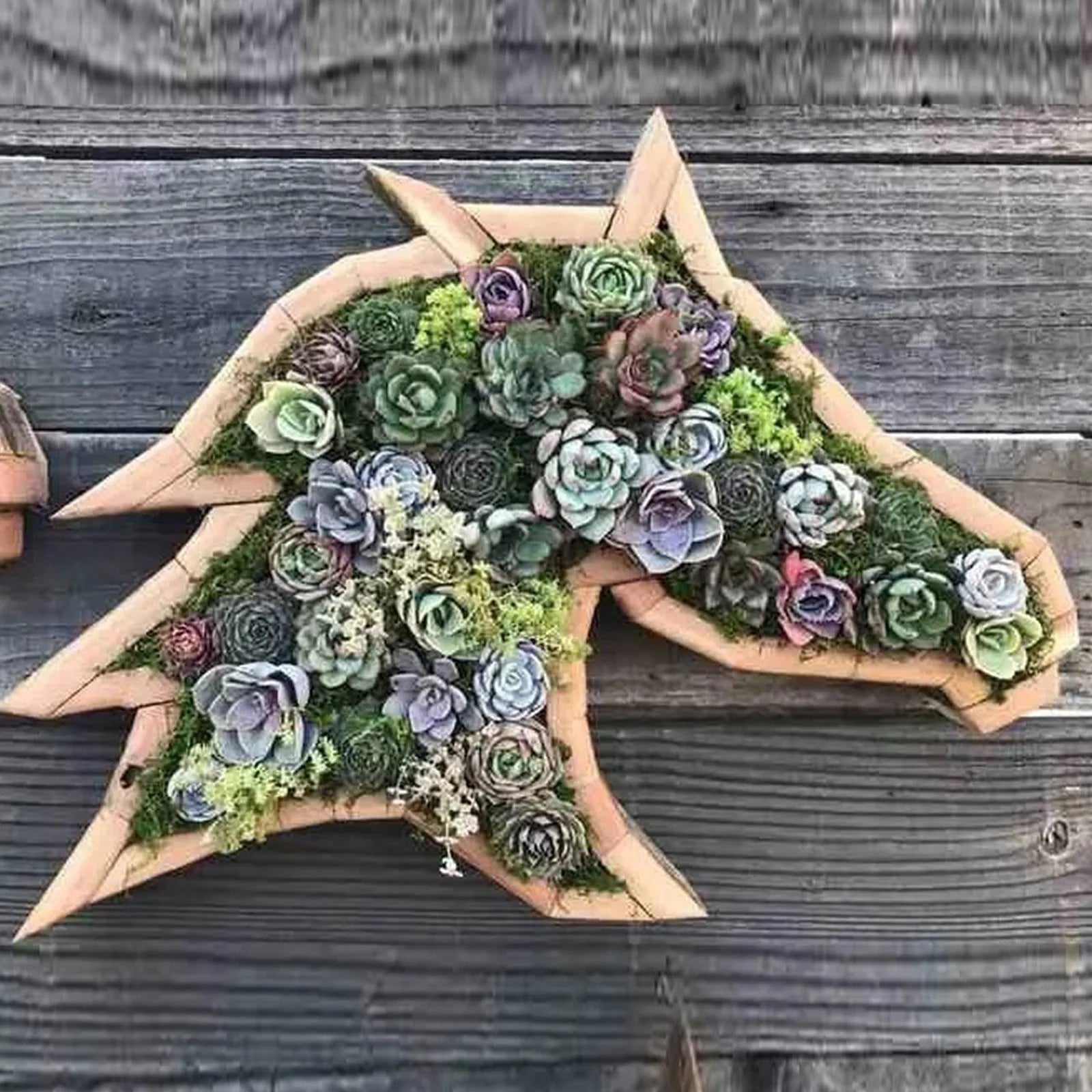 Animal Shape Succulents Wooden Flower Pots Turtle Bull Head Planter Clover Planter Horse Head Butterfly Pots Garden Accessories