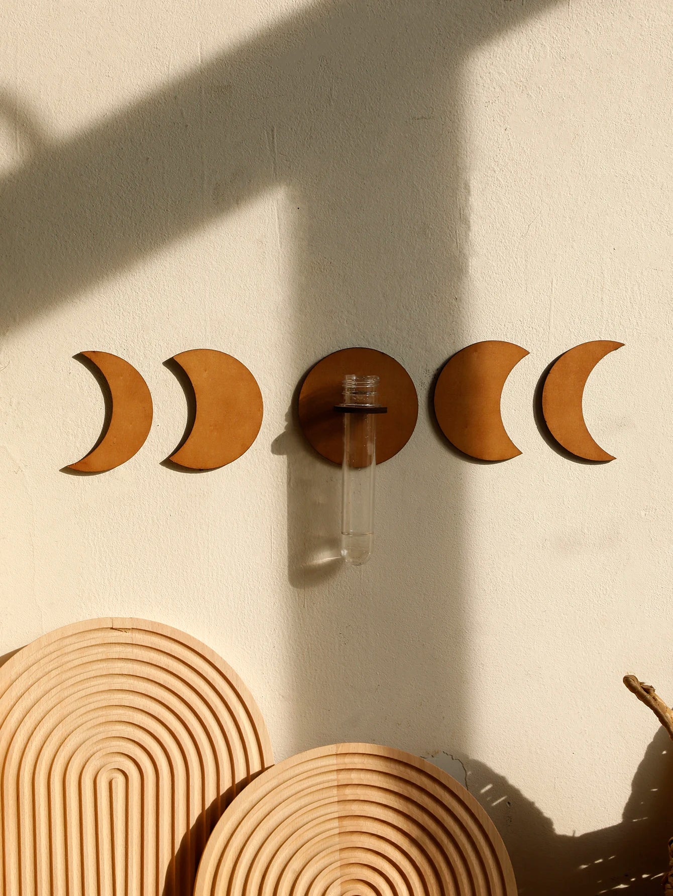 Moon Plant Propagation Station, Moon Phase Wall Hanging Terrarium Planter with Glass Tube, Wall Plant Holder for Propagate Hydroponics Air Plants, Wall Plants, Dried Flower Home Decor