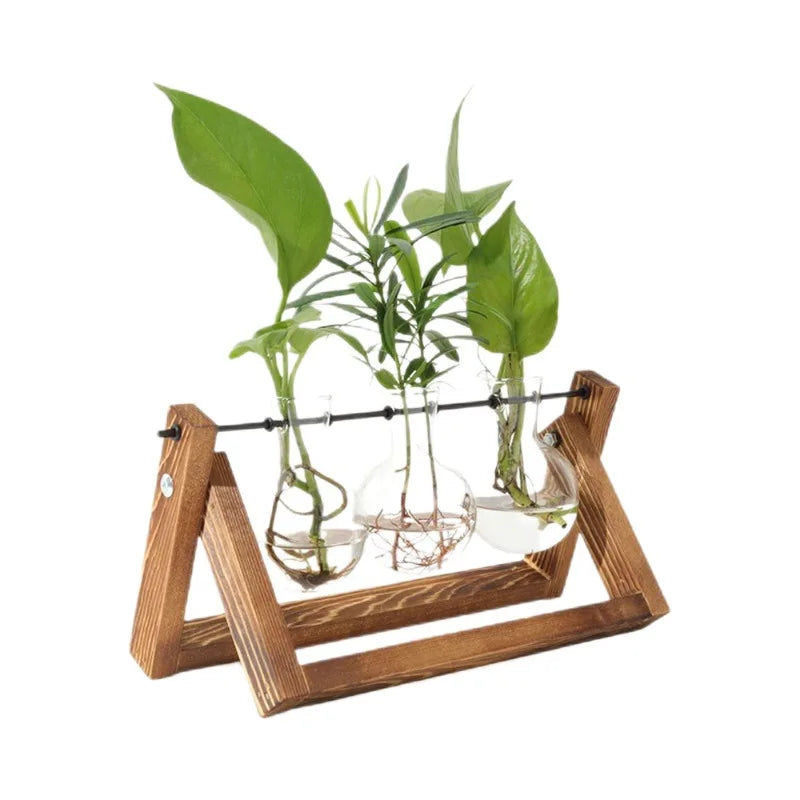 hydroponic plant holders Wooden Base Glass Vase