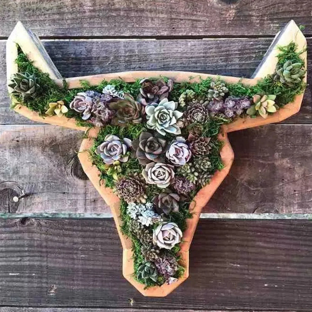 head shaped pots for plants Animal Shape Succulents Wooden Flower Pots Turtle Bull Head Planter Cl – NexaWood