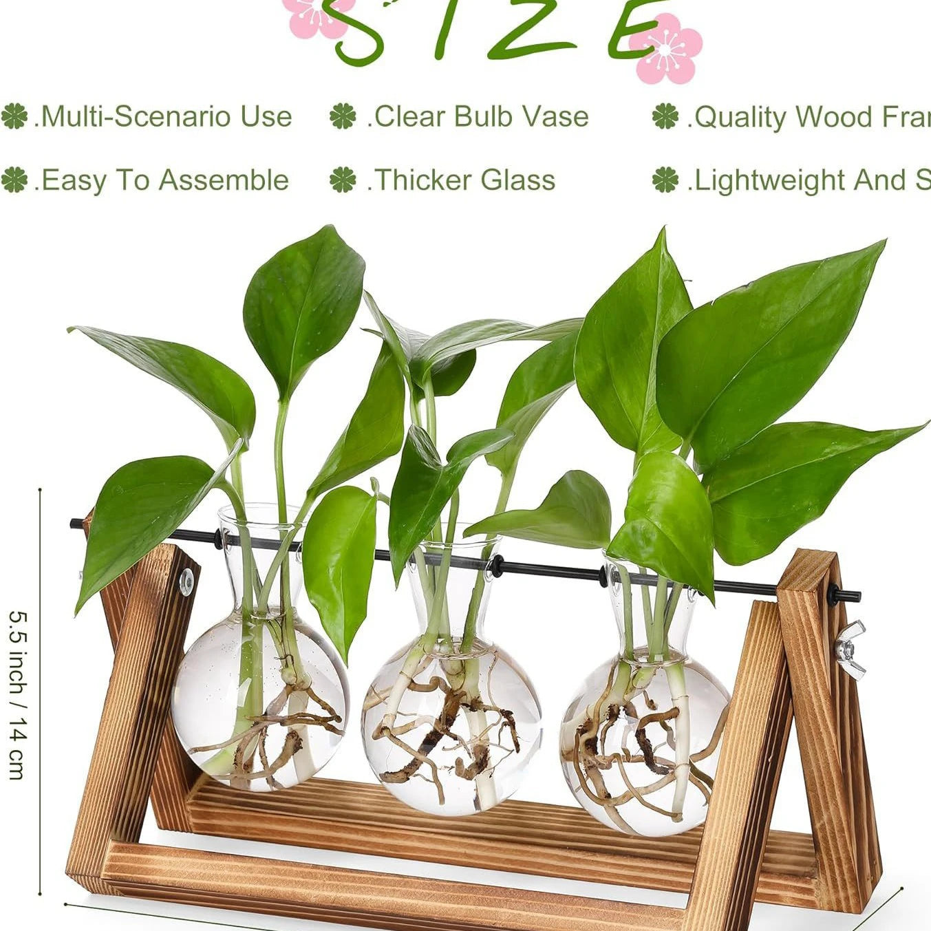 Wooden Base Glass Vase - Plant Holder & Propagation Station for Hydroponic Plants, Desktop Terrarium with Wooden Stand, Stylish Home & Office Décor, Great Gift for Plant