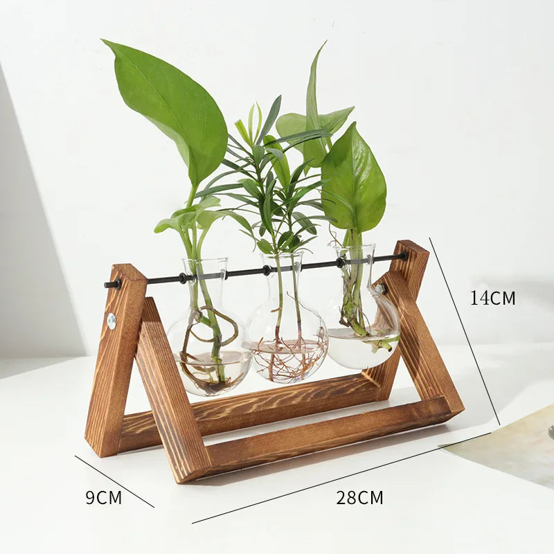 Wooden Base Glass Vase - Plant Holder & Propagation Station for Hydroponic Plants, Desktop Terrarium with Wooden Stand, Stylish Home & Office Décor, Great Gift for Plant