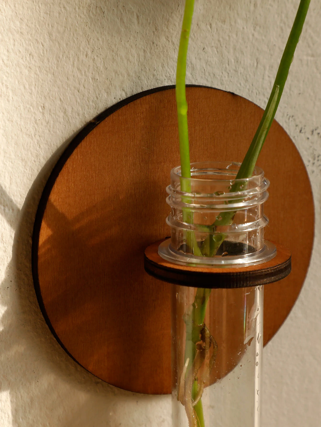 Moon Plant Propagation Station, Moon Phase Wall Hanging Terrarium Planter with Glass Tube, Wall Plant Holder for Propagate Hydroponics Air Plants, Wall Plants, Dried Flower Home Decor