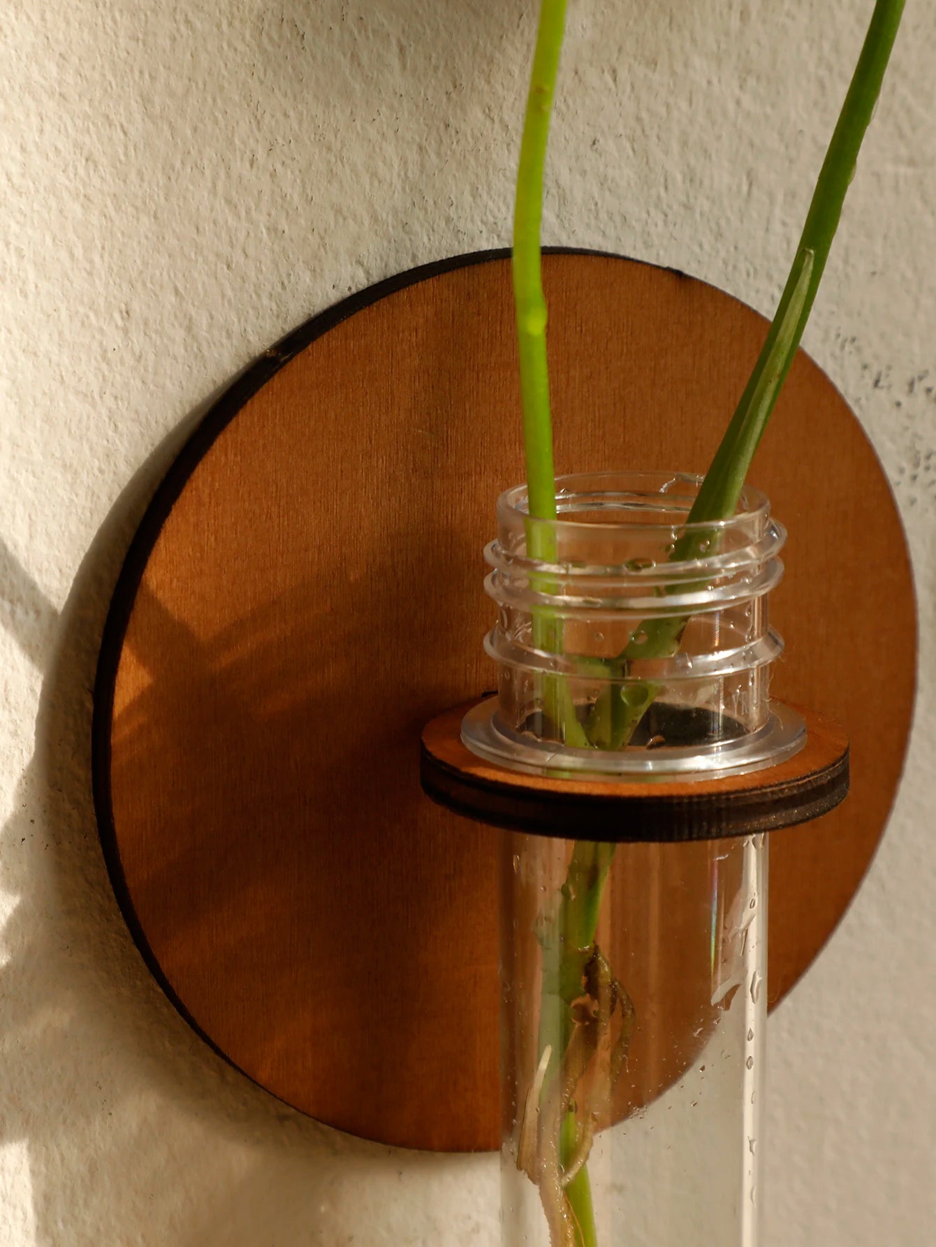 Moon Plant Propagation Station, Moon Phase Wall Hanging Terrarium Planter with Glass Tube, Wall Plant Holder for Propagate Hydroponics Air Plants, Wall Plants, Dried Flower Home Decor