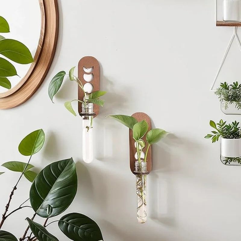 Moon Plant Propagation Station, Moon Phase Wall Hanging Terrarium Planter with Glass Tube, Wall Plant Holder for Propagate Hydroponics Air Plants, Wall Plants, Dried Flower Home Decor
