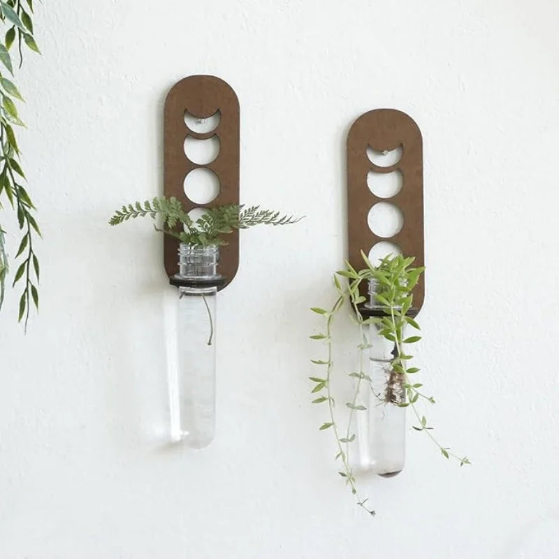 Moon Plant Propagation Station, Moon Phase Wall Hanging Terrarium Planter with Glass Tube, Wall Plant Holder for Propagate Hydroponics Air Plants, Wall Plants, Dried Flower Home Decor