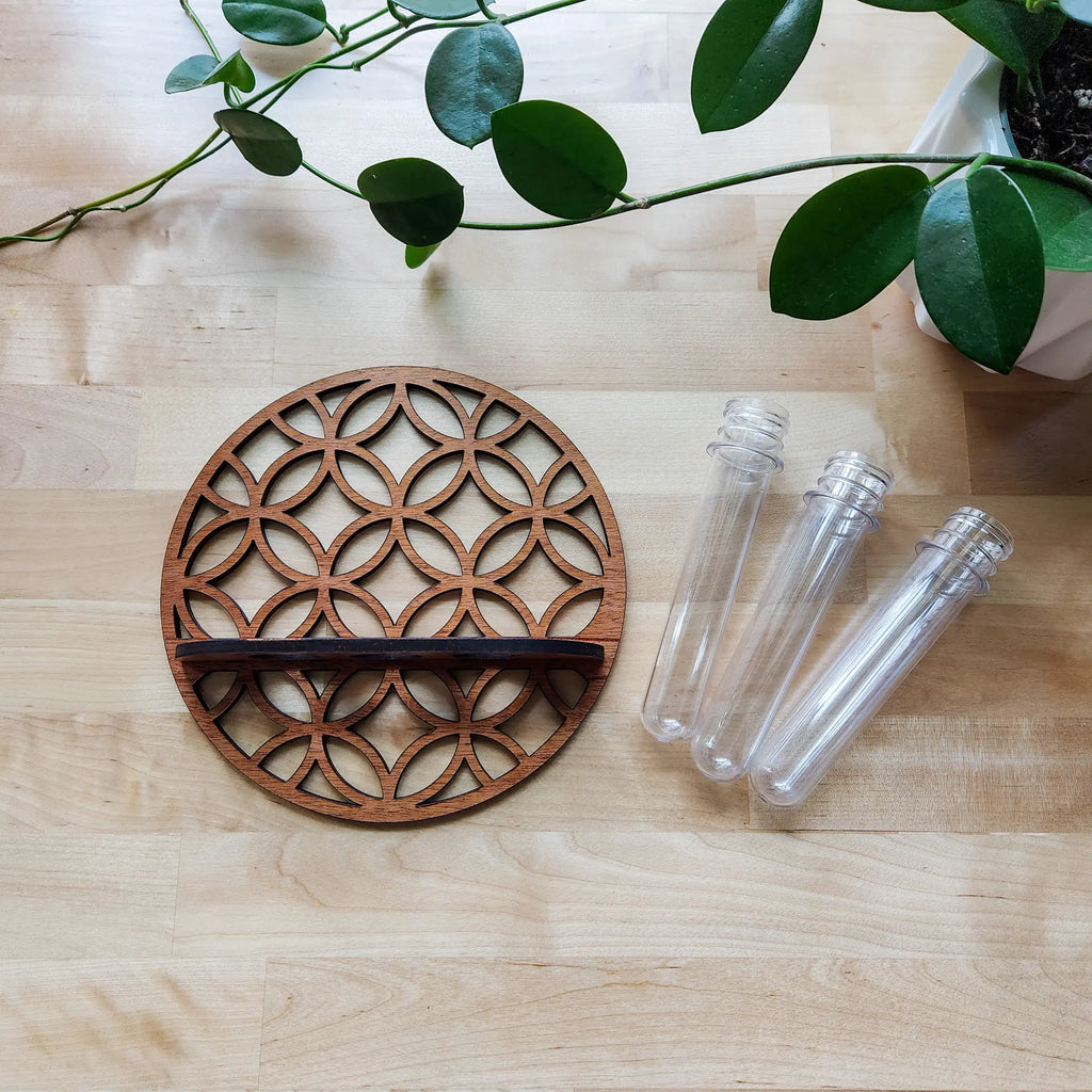 Moon Plant Propagation Station, Moon Phase Wall Hanging Terrarium Planter with Glass Tube, Wall Plant Holder for Propagate Hydroponics Air Plants, Wall Plants, Dried Flower Home Decor