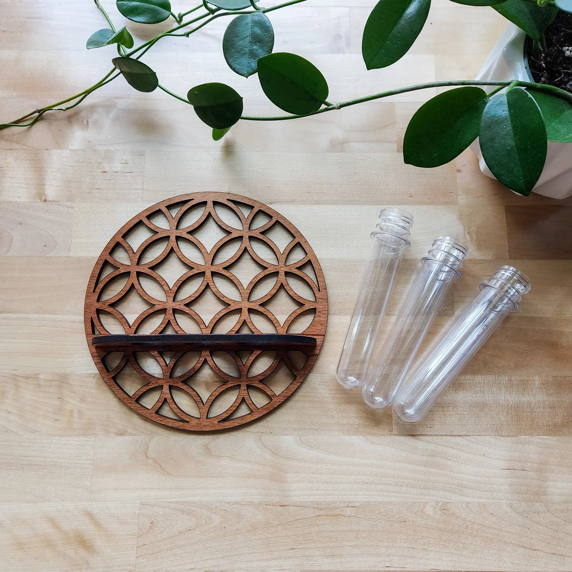 Moon Plant Propagation Station, Moon Phase Wall Hanging Terrarium Planter with Glass Tube, Wall Plant Holder for Propagate Hydroponics Air Plants, Wall Plants, Dried Flower Home Decor