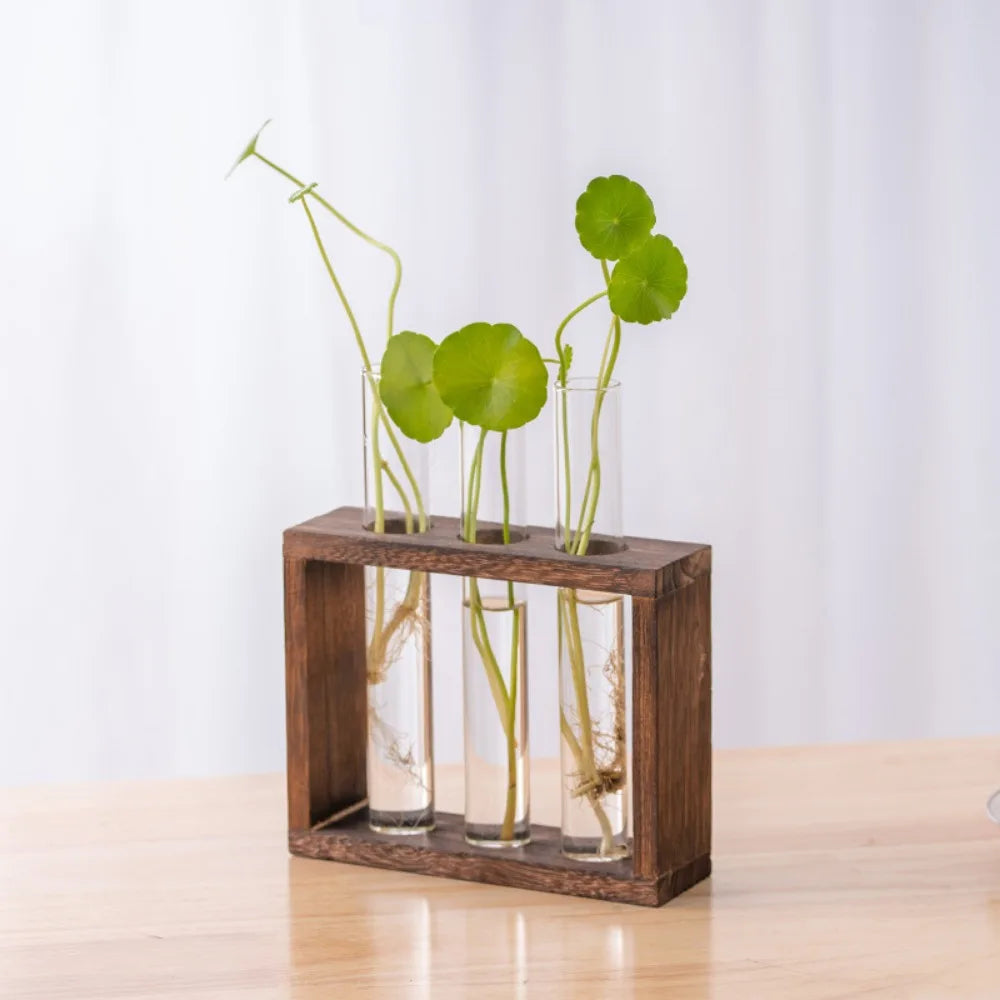 Desktop Glass Plant Propagation Station with 3/5 Test Tubes in Wooden Stand - Hydroponic Plants Cutting Office Home Decoration and Garden Decor Terrarium