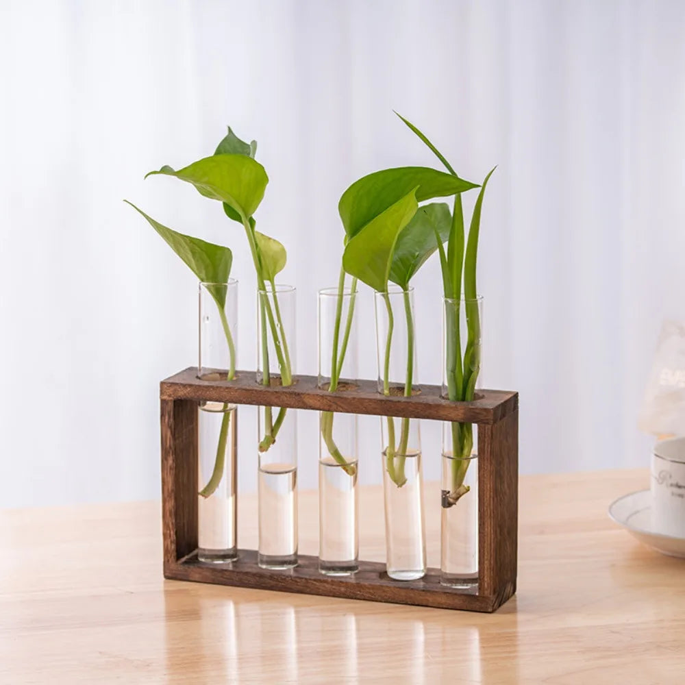 Desktop Glass Plant Propagation Station with 3/5 Test Tubes in Wooden Stand - Hydroponic Plants Cutting Office Home Decoration and Garden Decor Terrarium