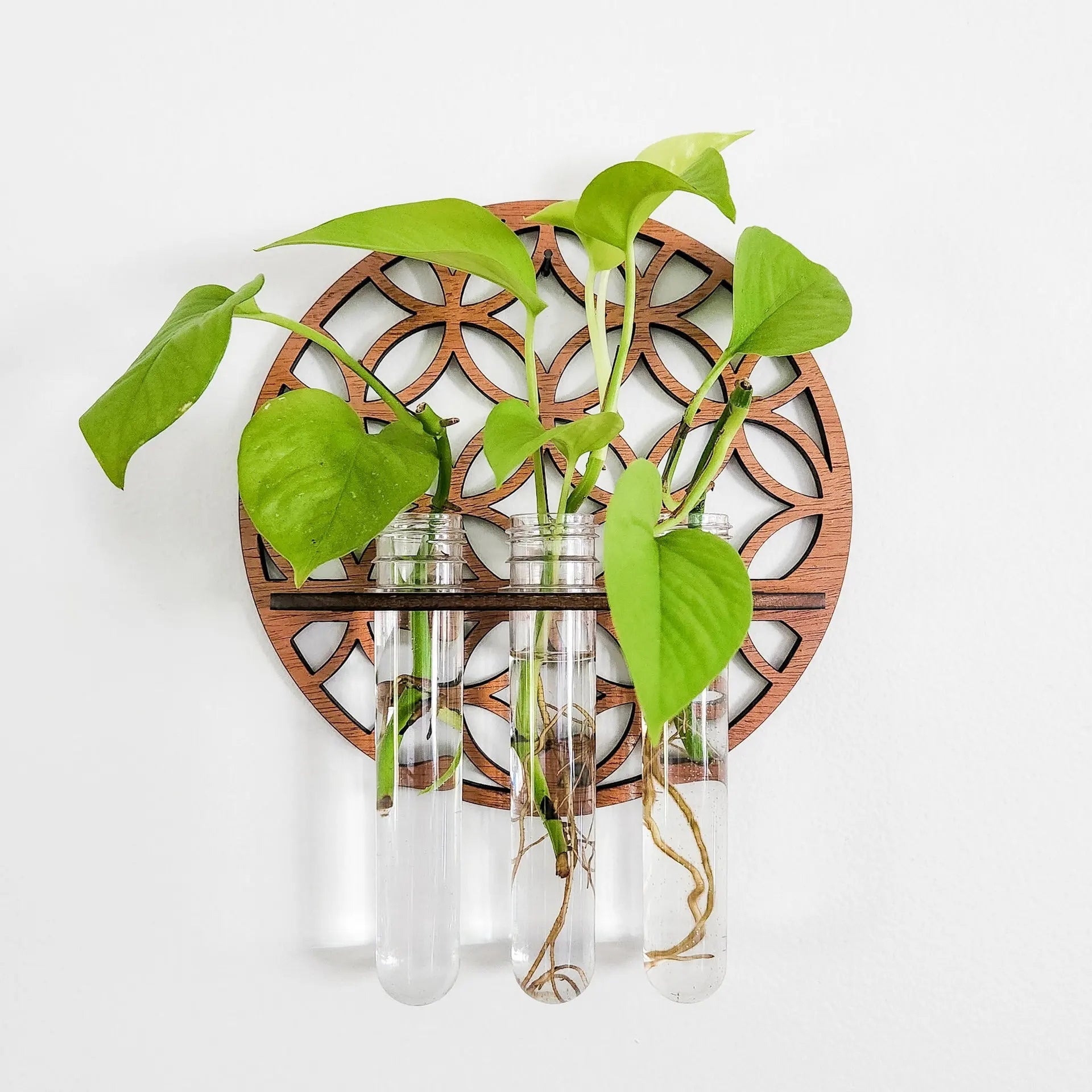Moon Plant Propagation Station, Moon Phase Wall Hanging Terrarium Planter with Glass Tube, Wall Plant Holder for Propagate Hydroponics Air Plants, Wall Plants, Dried Flower Home Decor