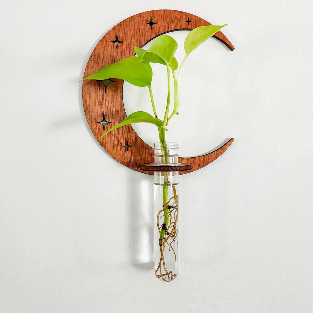 Moon Plant Propagation Station, Moon Phase Wall Hanging Terrarium Planter with Glass Tube, Wall Plant Holder for Propagate Hydroponics Air Plants, Wall Plants, Dried Flower Home Decor